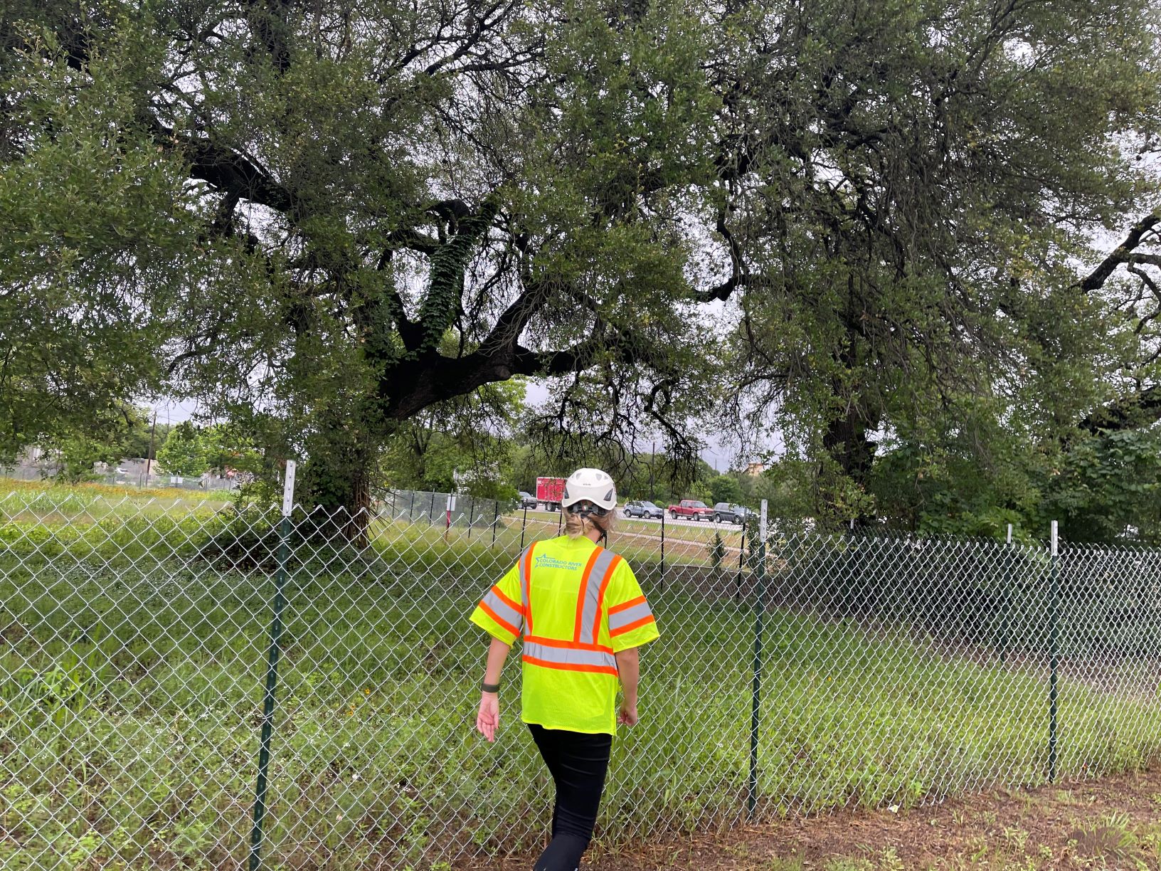 Tree protection fencing near US 290 and Williamson Creek is inspected, May 2021